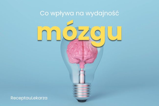 Mózg jak działa i co wpływa na jego wydajność?