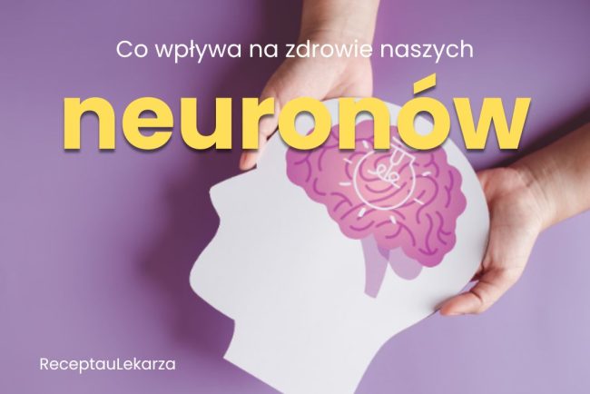 Neurony – jak komunikują się w ciele i co wpływa na ich zdrowie?