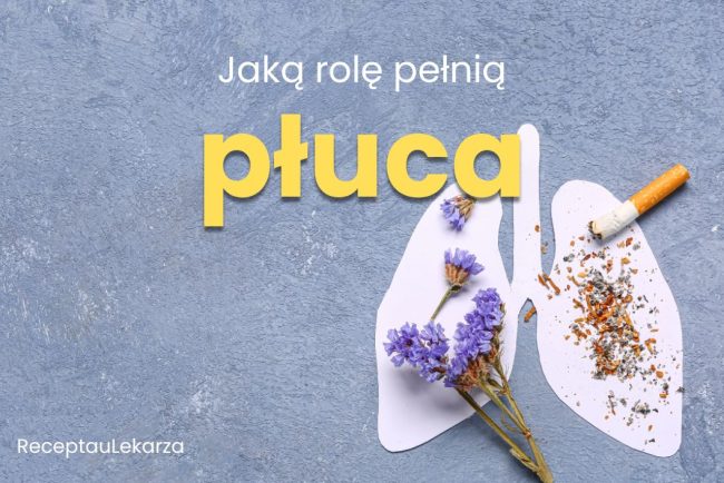 Jaką rolę pełnią płuca w organizmie?