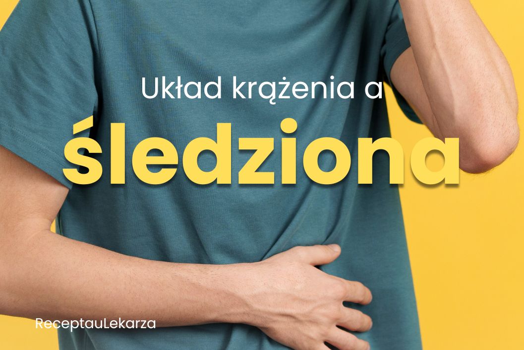Śledziona – niedoceniany organ układu krążenia i odpornościowego