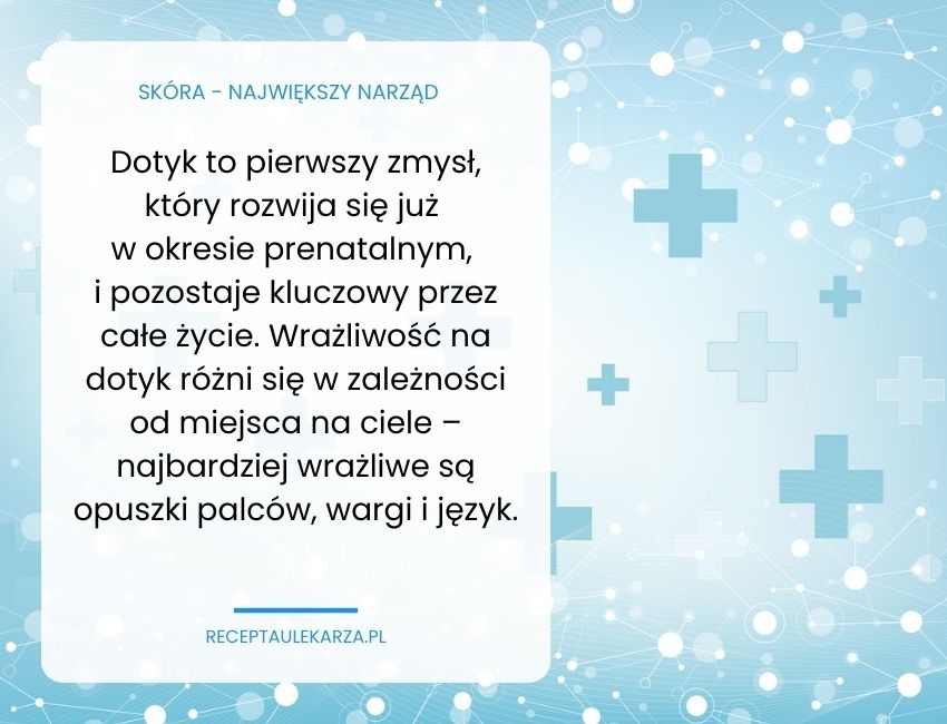 Skóra jako największy narząd – jak chroni i wspiera organizm?