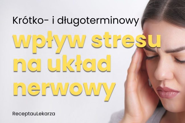 Jak stres wpływa na układ nerwowy? Krótkoterminowe reakcje i długoterminowe konsekwencje