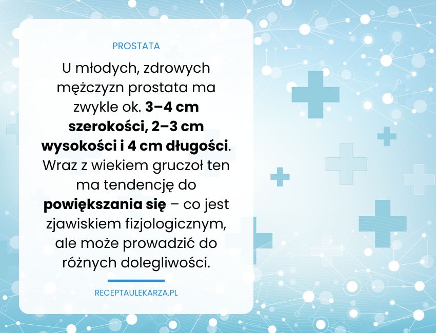 Prostata – jakie funkcje pełni i kiedy zaczyna sprawiać problemy?