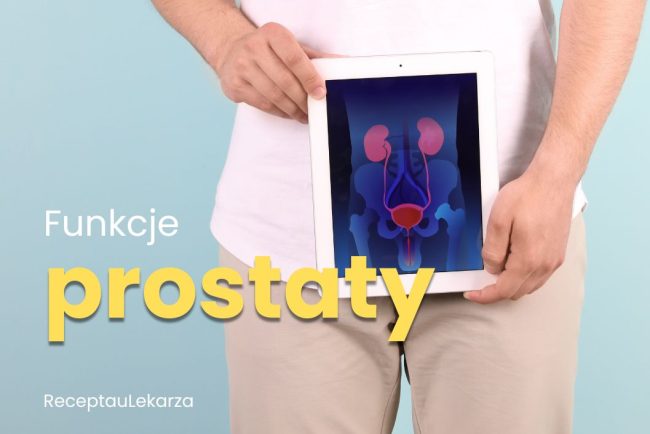 Prostata – jakie funkcje pełni i kiedy zaczyna sprawiać problemy?